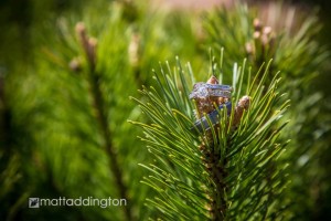 Pine Peaks Event Center-Cross Lake by Matt Addington Photography